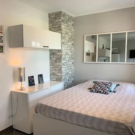 Joli Studio Climatise Avec Jardin Dans Residence Avec Piscine Antibes Buitenkant foto